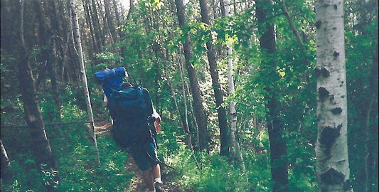 AC/DC and the Black Hills National Forest