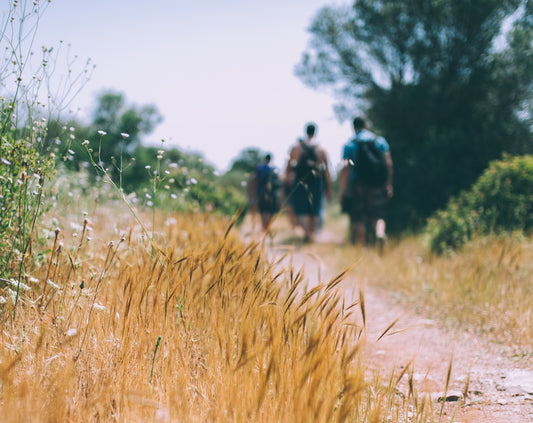 A group of friends hiking along a trail.