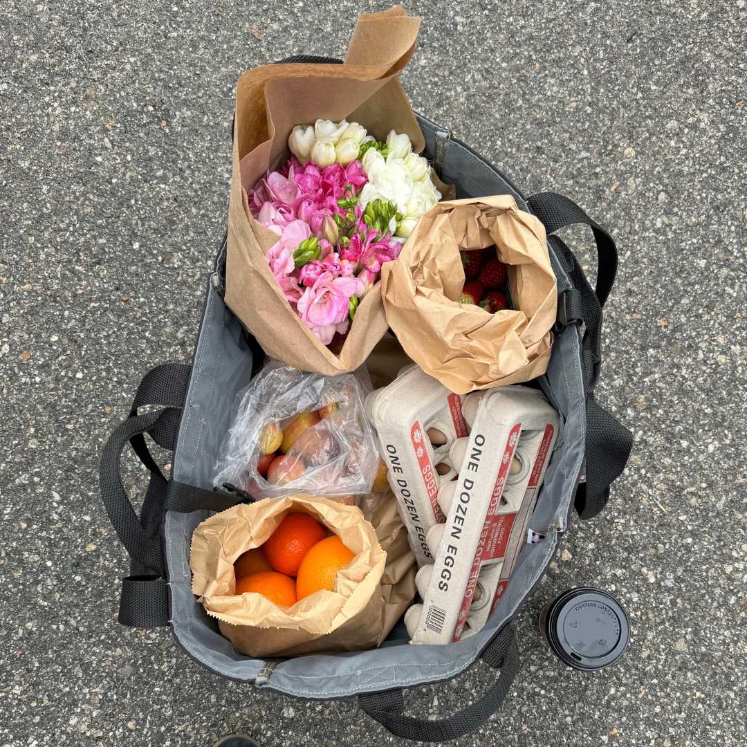 Adventure Tote