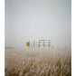2nd Rodeo - Fine Art Print - "The Sign"