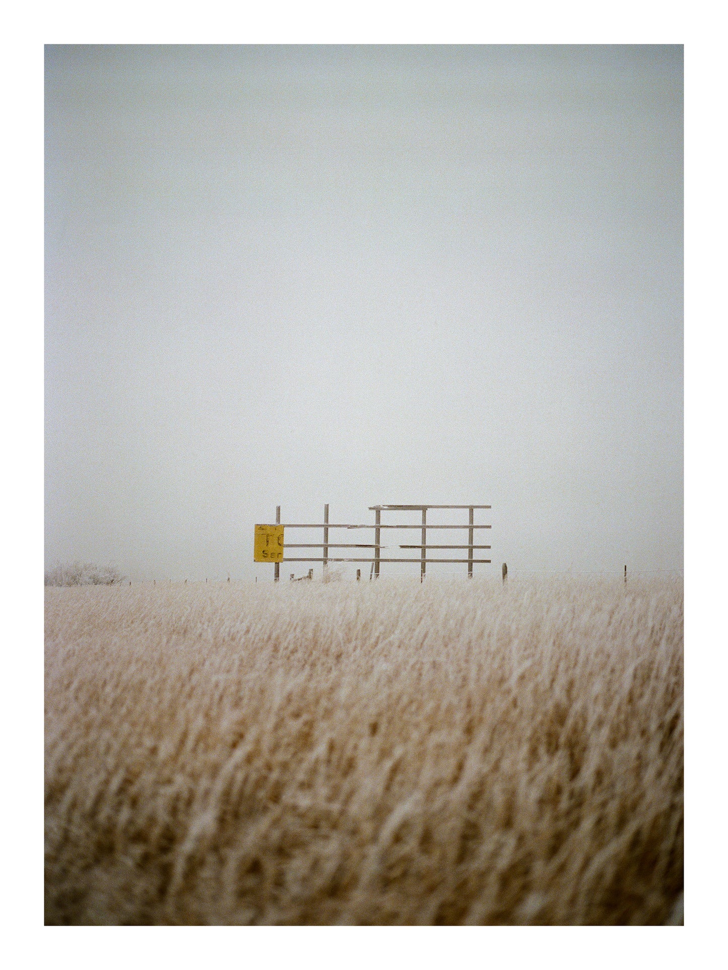 2nd Rodeo - Fine Art Print - "The Sign"